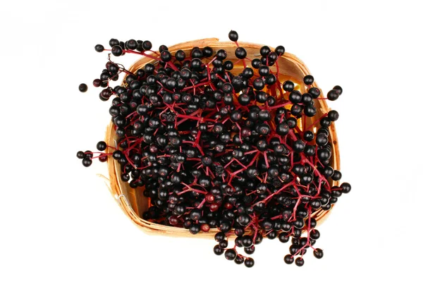 Black elderberry isolated — Stock Photo, Image