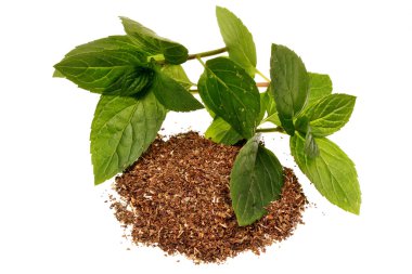 Nane mentha pulegium