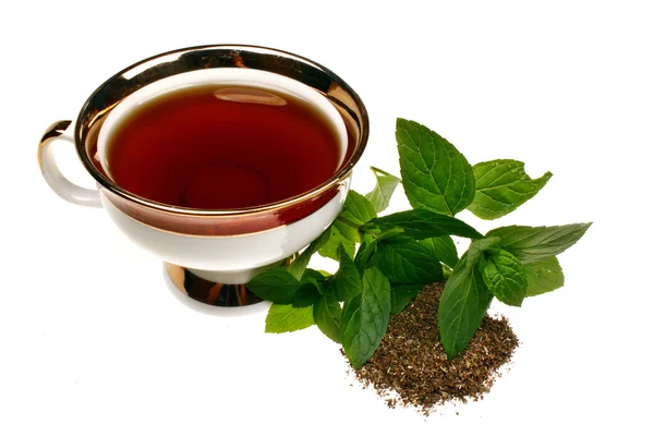 Μέντα mentha pulegium τσάι — Φωτογραφία Αρχείου