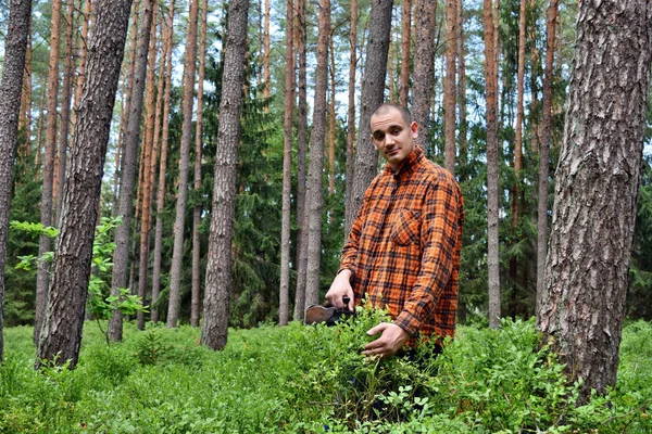 Joven Recoge Arándanos Con Peine Especial Bosque — Foto de Stock