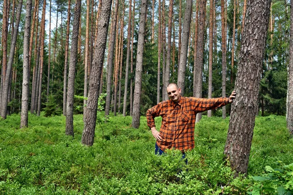 站在蓝莓大森林上的年轻森林管理员 — 图库照片