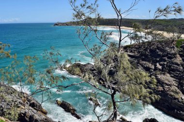 Queensland, Sunshine Coast, Avustralya 'daki Noosa Ulusal Parkı' nda Devil 's Kitchen.