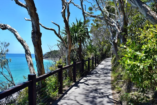 Lesní Stezka Úžasnou Scenérií Oceánu Národním Parku Noosa Queensland Austrálie Stock Snímky