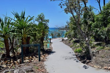 Noosa Ulusal Parkı, Queensland, Günışığı Sahili, Avustralya - 2 Kasım 2017: Noosa Ulusal Parkı 'ndaki Dolphin Point' te inanılmaz bir kıyı şeridi