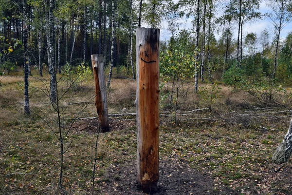 Funny Wooden Face Sculpture Made Pine Log Forest — Stock Photo, Image