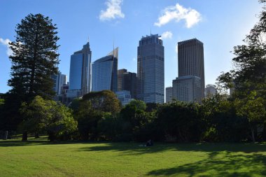 Sydney, New South Wales, Avustralya, - 23 Ekim 2017: The Royal Garden 'dan Sydney' nin şehir merkezine inanılmaz bir manzara