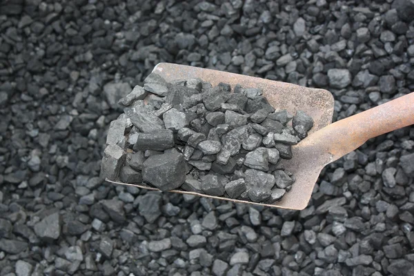 Kohle mit Schaufel — Stockfoto