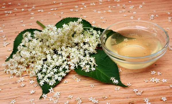 Elderflower — Φωτογραφία Αρχείου