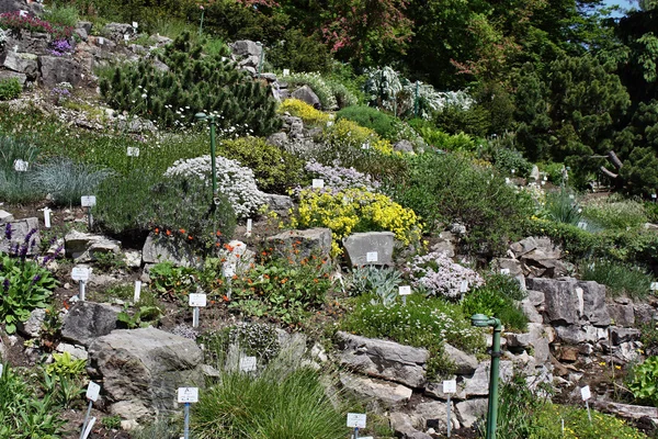 Botanik Bahçesi