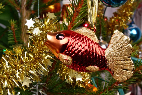 Carpe de poisson de Noël — Photo