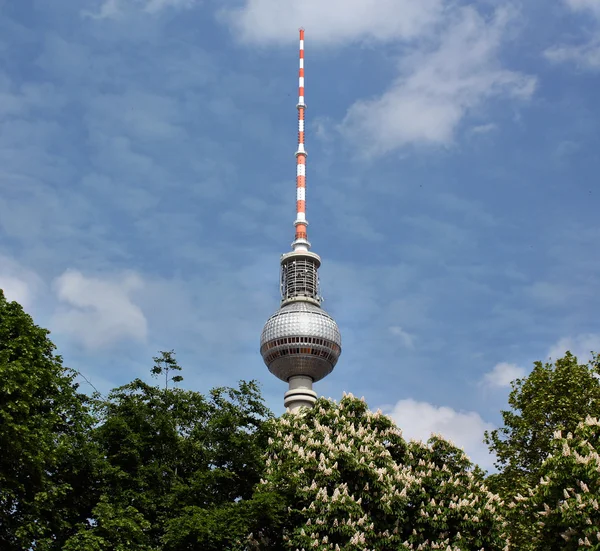 Blick auf den Fernsehturm in Berlin — Stockfoto