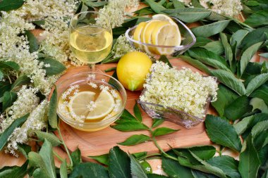 Mürver çiçekleri ile taze limonata