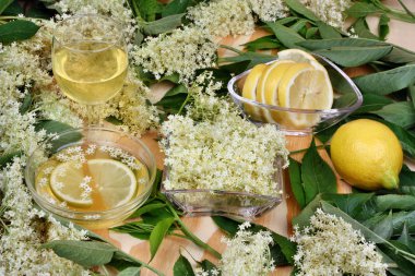 Taze şurup mürver çiçekleri ile