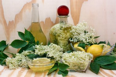 Elderflower