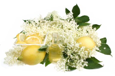 Elderflower içki