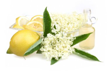 Elderflower içki