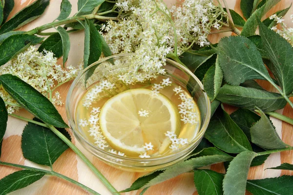 Limonada de sabugueiro — Fotografia de Stock