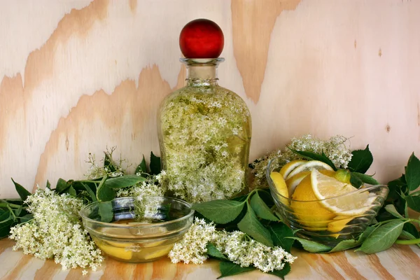 Elderflower — Stock Photo, Image