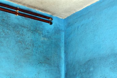 Tehlikeli Zehirli mantar kalıp