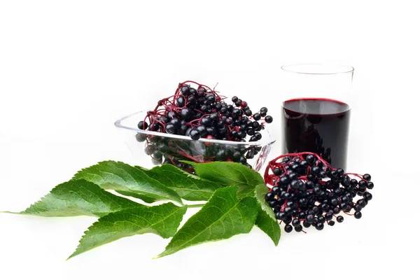 Bunch of fresh elderberries — Stock Photo, Image