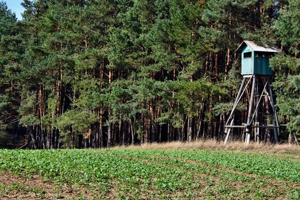 Jagd auf hölzerne Kanzel — Stockfoto