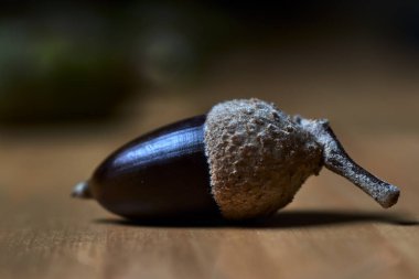 Kahverengi meşe palamudu, kabuğuyla, ahşap bir masada.