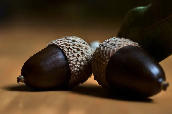 Two Brown Acorns Shell Leaf Wooden Table — Stock Photo, Image