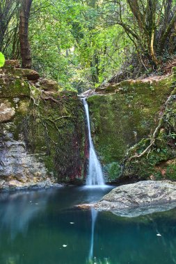 Küçük bir şelalede, ormandaki ağaçların arasında.