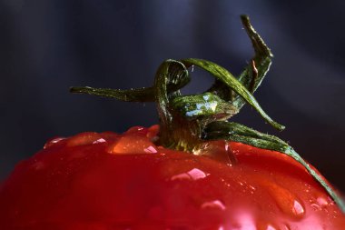 Yeşil pedikel ve sepalli kırmızı domatesin yakın çekimi, su damlalarıyla ıslanmış.
