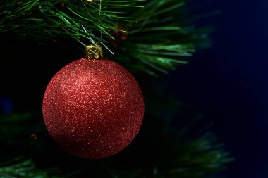 Köknar ağacına asılı kırmızı bir noel balosu.