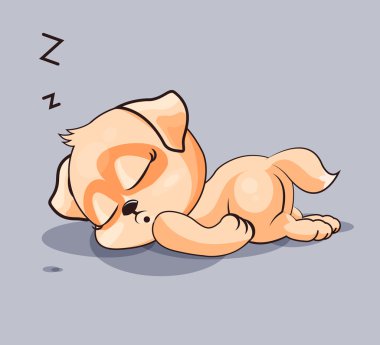 Köpek bir uyku