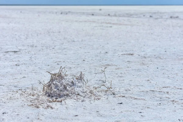 Landscape of a deserted salt lake. The texture of salt formations in the foreground. salt lake surface, dry salt lake, white salt lake
