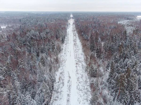 top view of the road among the winter forest, winter road