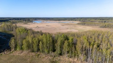 Uçsuz bucaksız bataklık manzarası seyrek ağaçlar ve açık mavi gökyüzü..