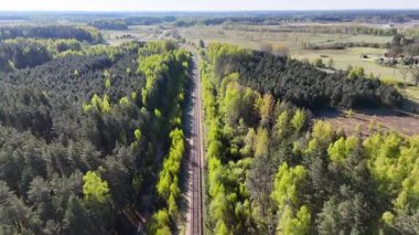 Yemyeşil bir ormandan geçen demiryolu hattının havadan görünüşü.