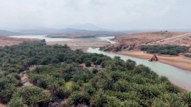 Çölde akan bir nehrin manzarası. Palmiye ağaçları ve bulutlu bir gökyüzünün altındaki uzak dağlar. Sokotra, Yemen.