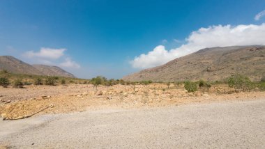 Kayalık arazili çöl manzarası, seyrek bitki örtüsü ve berrak mavi gökyüzünün altındaki dağlar..