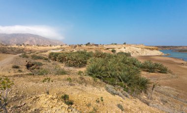 Palmiye ağaçları, dağlar, küçük bir kasaba ve berrak mavi gökyüzünün altında bir su kütlesi olan bir çöl manzarası..