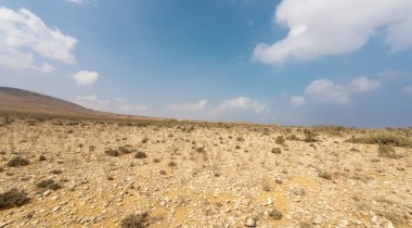 Mavi gökyüzünün altında seyrek bitki örtüsü olan çorak çöl manzarası..