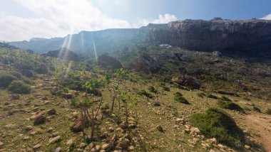Kurak dağ vadisinde seyrek çalılıkları, mavi gökyüzü altında dramatik güneş ışınları ve uçurumları olan güneşli kayalık yamaçlar seyahat, yürüyüş ve doğa temaları için ideal engebeli yaban manzarası. Sokotra, Yemen.