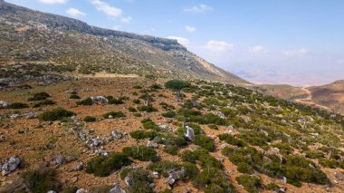 Mavi gökyüzü altında seyrek çalılıkları olan kayalık dağ platosu, puslu ufuklara bakan uzak vadi; engebeli kurak manzara, doğal yaban hayat, panoramik manzara. Sokotra Adası.