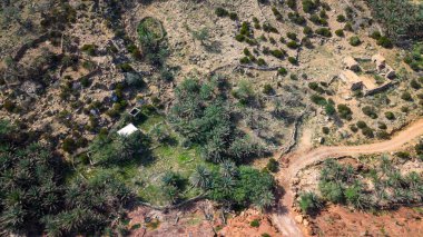 Palmiye koruluğu vahası, toprak yol ve çöl manzarasındaki küçük kırsal binalarla kurak kayalık yamaç manzarası. Sokotra Adası.
