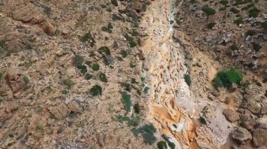 Çürümüş kireçtaşı vadisi ya da kuru dere yatağı olan engebeli kayalık yamaç manzarası dağınık yeşil çalılıklar ve dokulu çöl arazisi. Sokotra Adası.