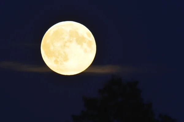 พระจันทร์เต็มดวง — ภาพถ่ายสต็อก