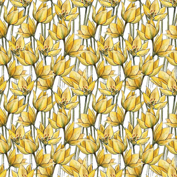 Patrón sin costuras con tulipanes amarillos sobre un fondo blanco. Textura de tulipán floral acuarela. Patrón de primavera inconsútil colorido. — Foto de Stock