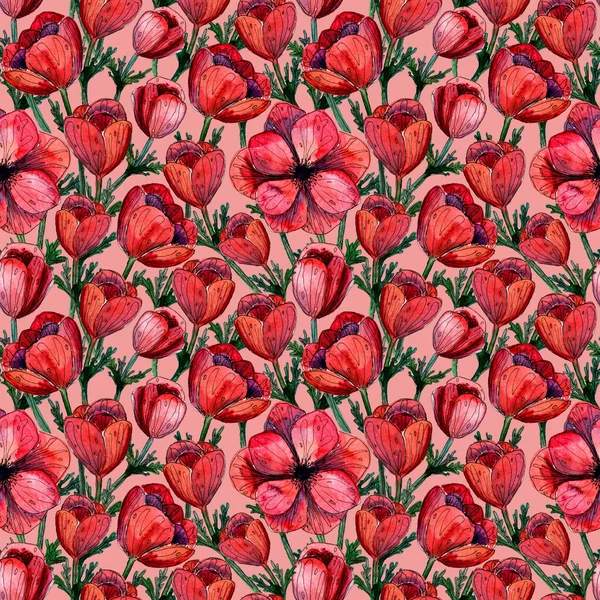 Patrón de flor de anémona roja acuarela. Flores rojas pintadas a mano sobre fondo rosa. Diseño floral de verano para invitación a la boda, guardar la tarjeta de fecha, bandera, cartel. — Foto de Stock