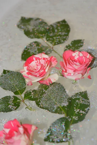 Der Strauß Der Lilien — Stockfoto