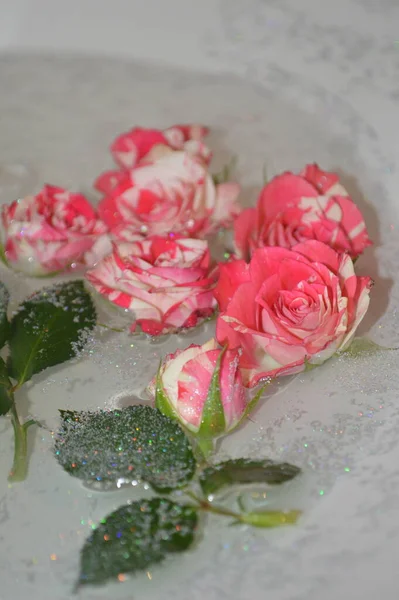 Bouquet Lys — Photo