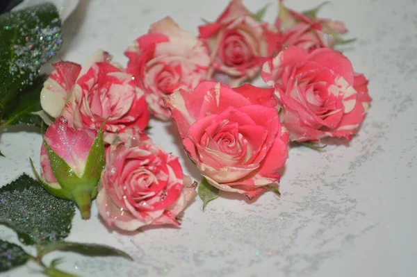 Bouquet Lilies — Stock Photo, Image