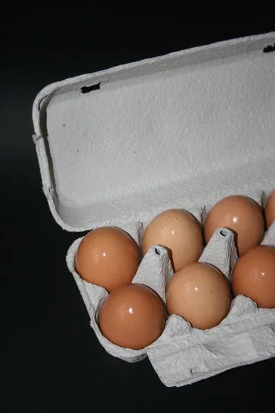 Huevos Una Caja —  Fotos de Stock